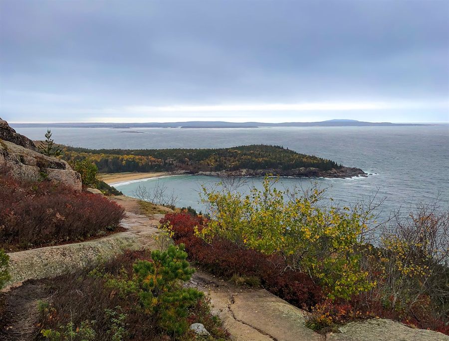 Bar Harbor, Maine, and its islands seen over autumn shrubs