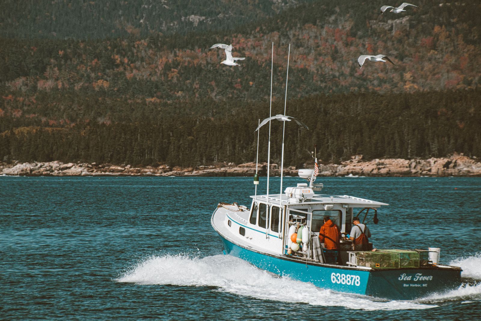 Lobster boat speeding along the forested Maine coast, a classic sight on US coastal cruises