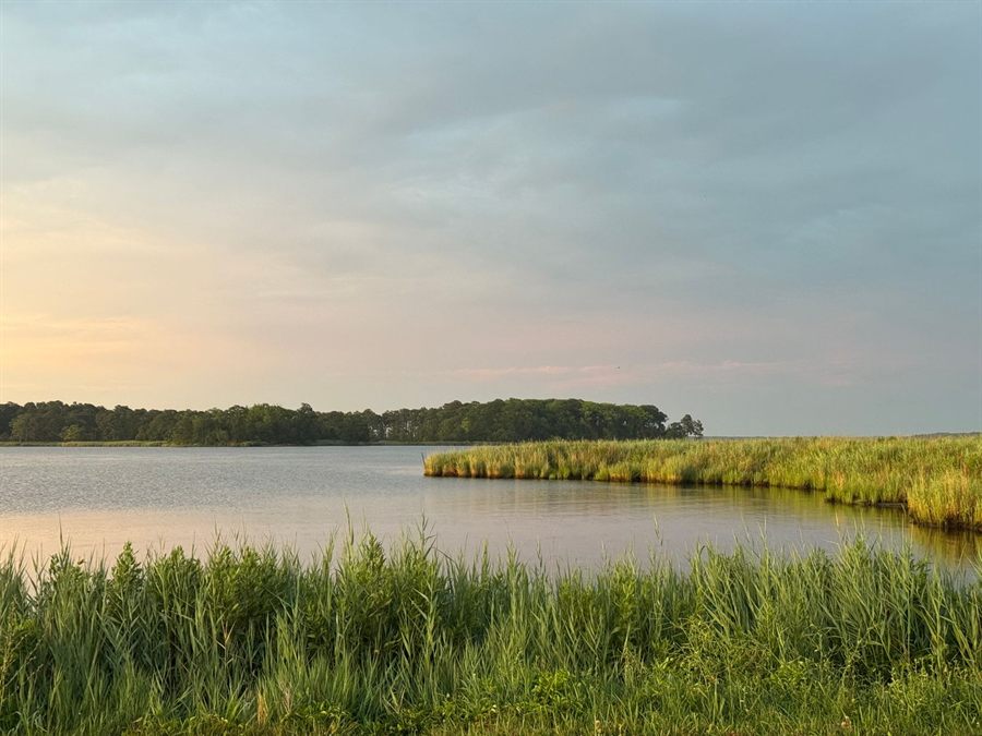 Coastal salt marsh and calm water at sunset